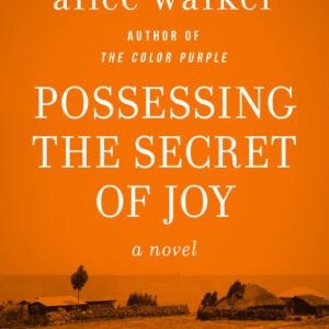 Alice Walker Colour Purple ebooks Collection  (epub,mobi)